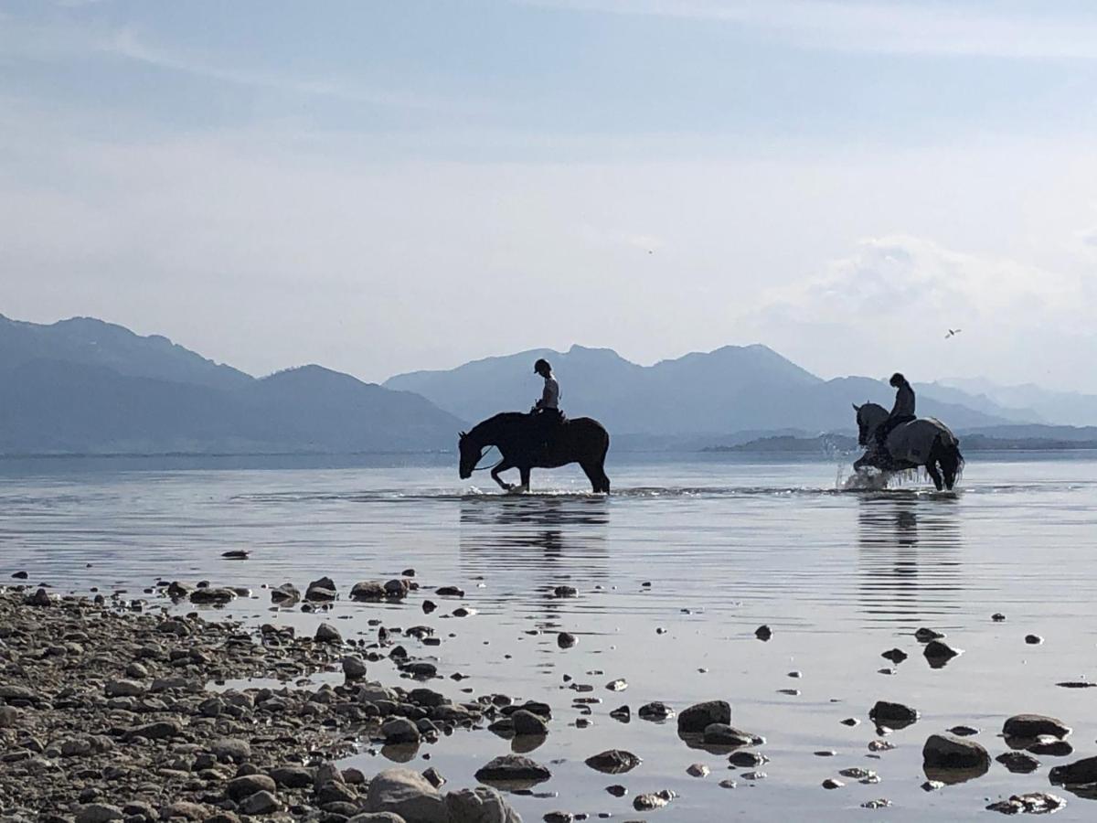 Ad Fontes Suite Mit Bergblick & Sauna Übersee Dış mekan fotoğraf